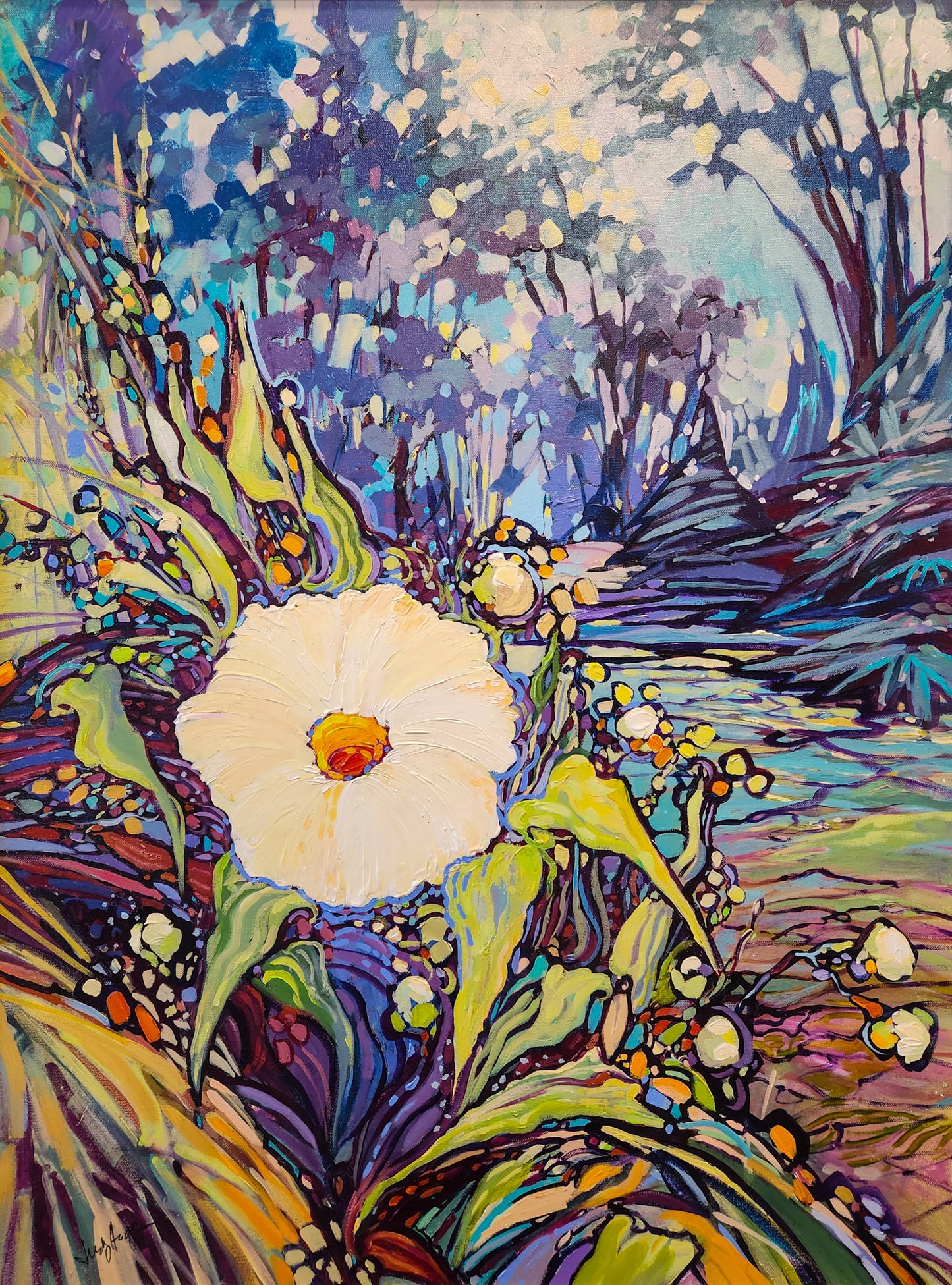 Morning Glory