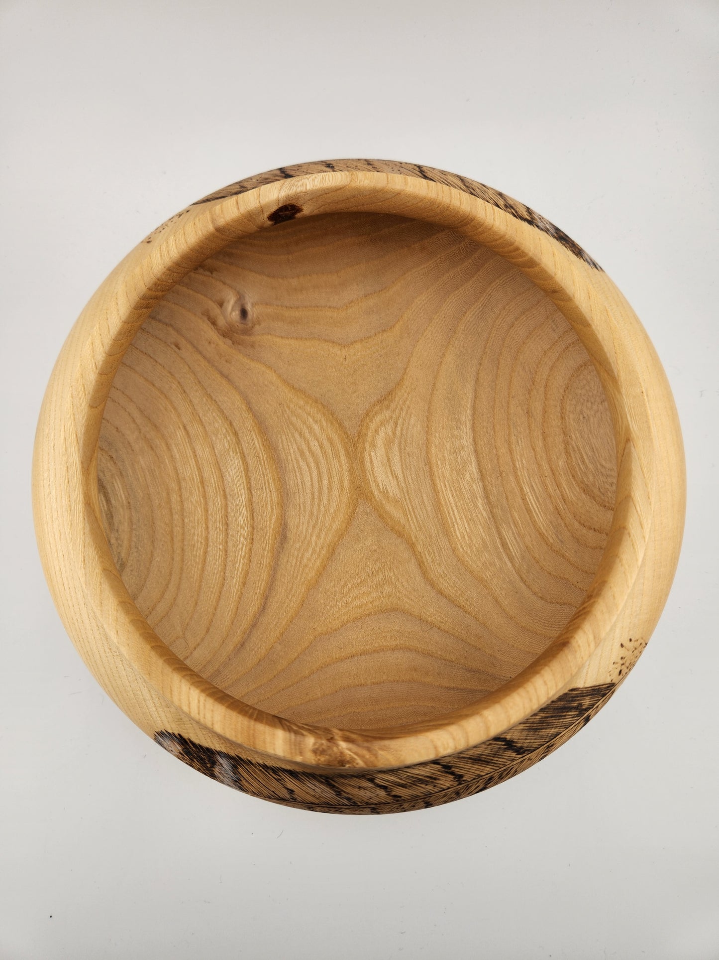 #54 Elm with Feathers