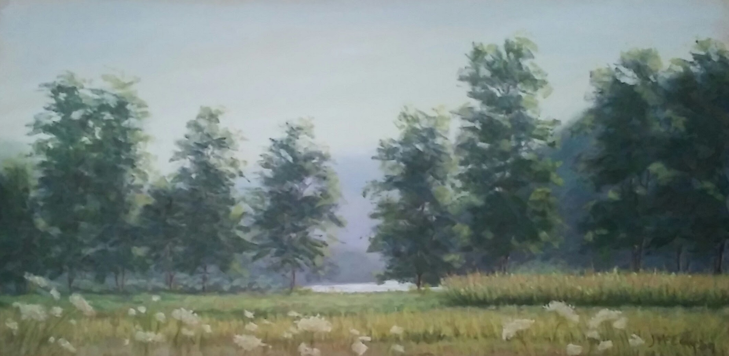 Hunter Island in Summer