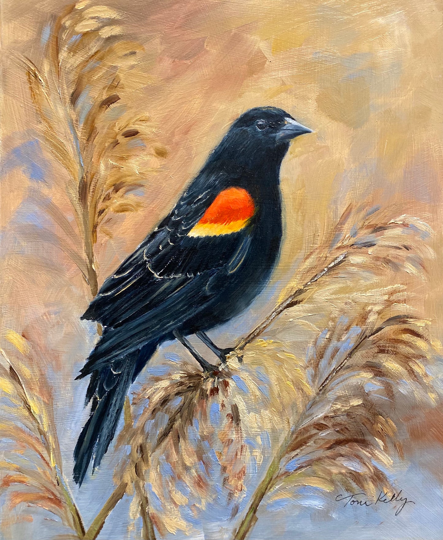 Redwing Blackbird