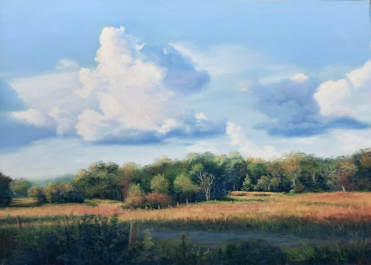 Late Summer Field w/ Clouds