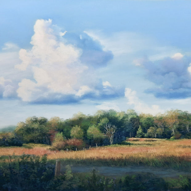 Late Summer Field w/ Clouds