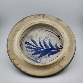 Sea Turtle Casserole