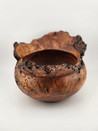 #7 Cherry Burl