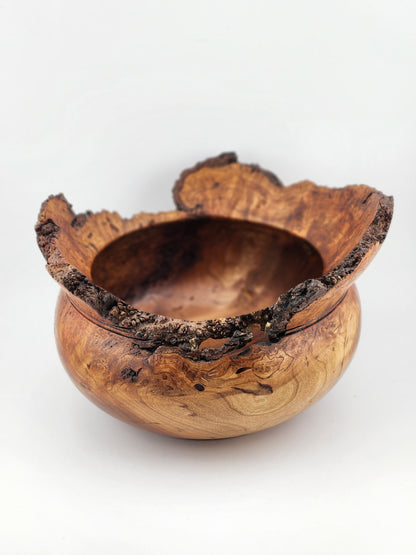 #7 Cherry Burl