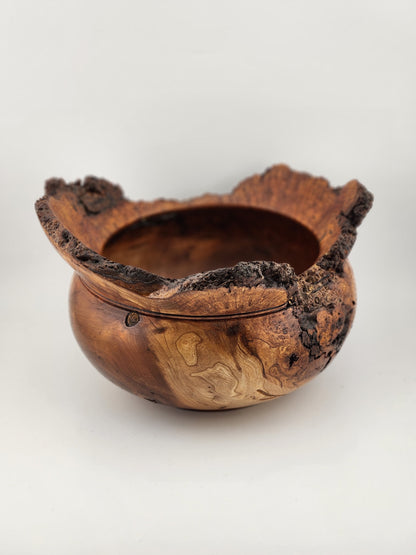 #7 Cherry Burl