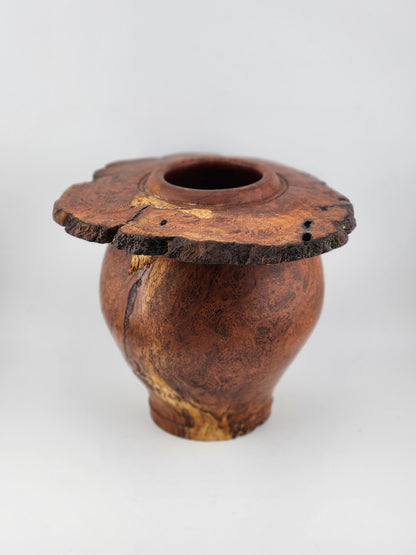 #5 Cherry Burl