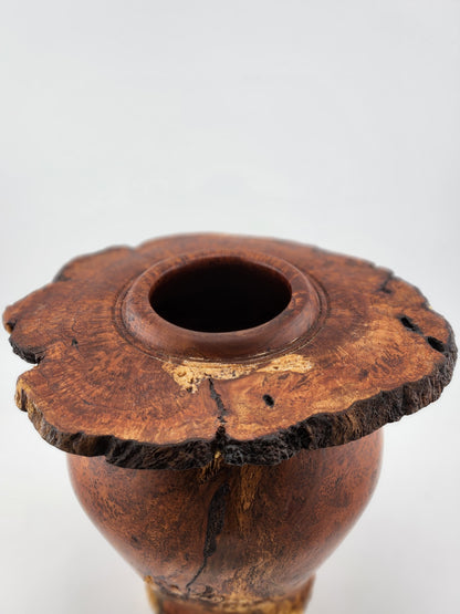 #5 Cherry Burl