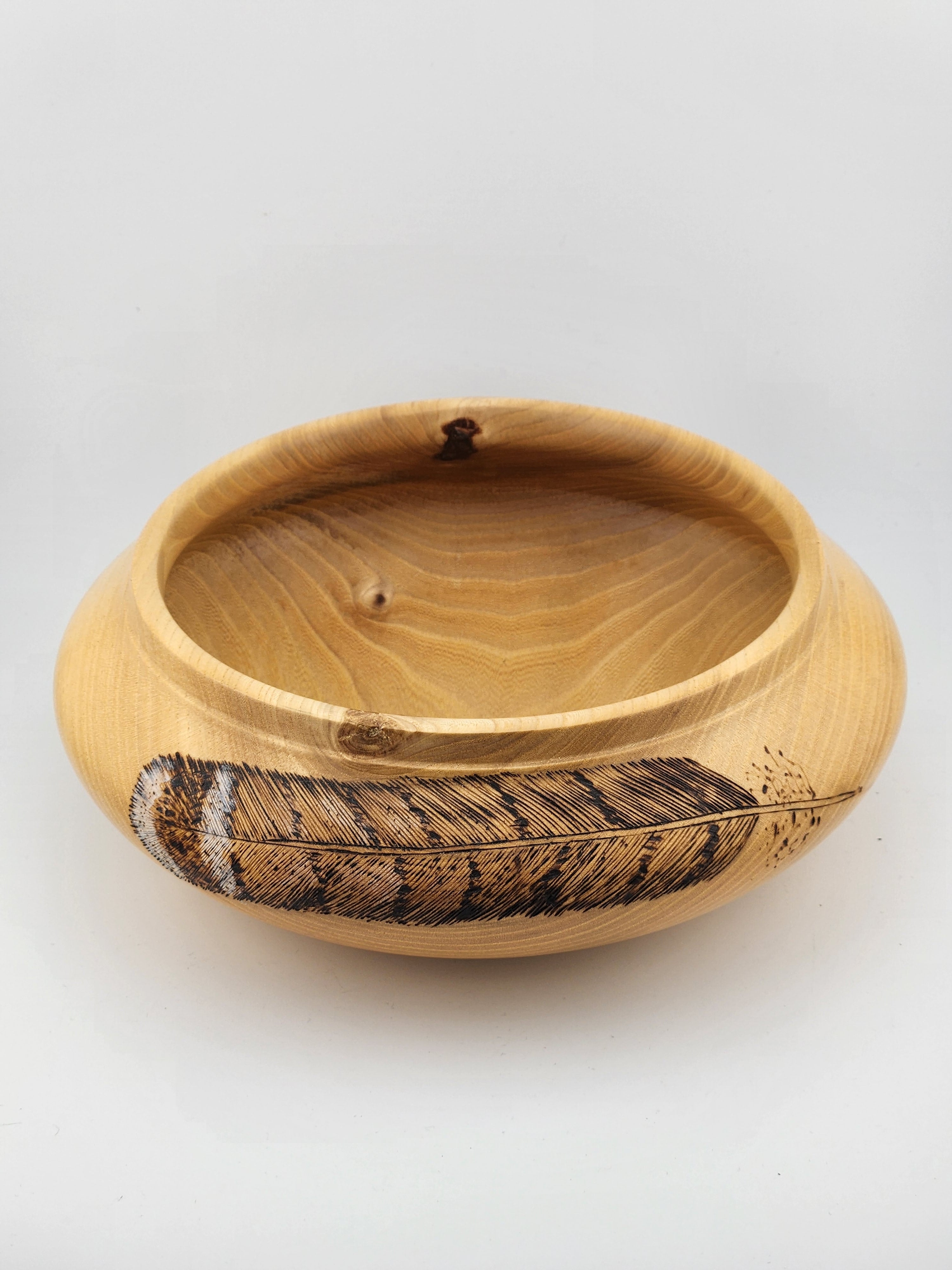 #54 Elm with Feathers