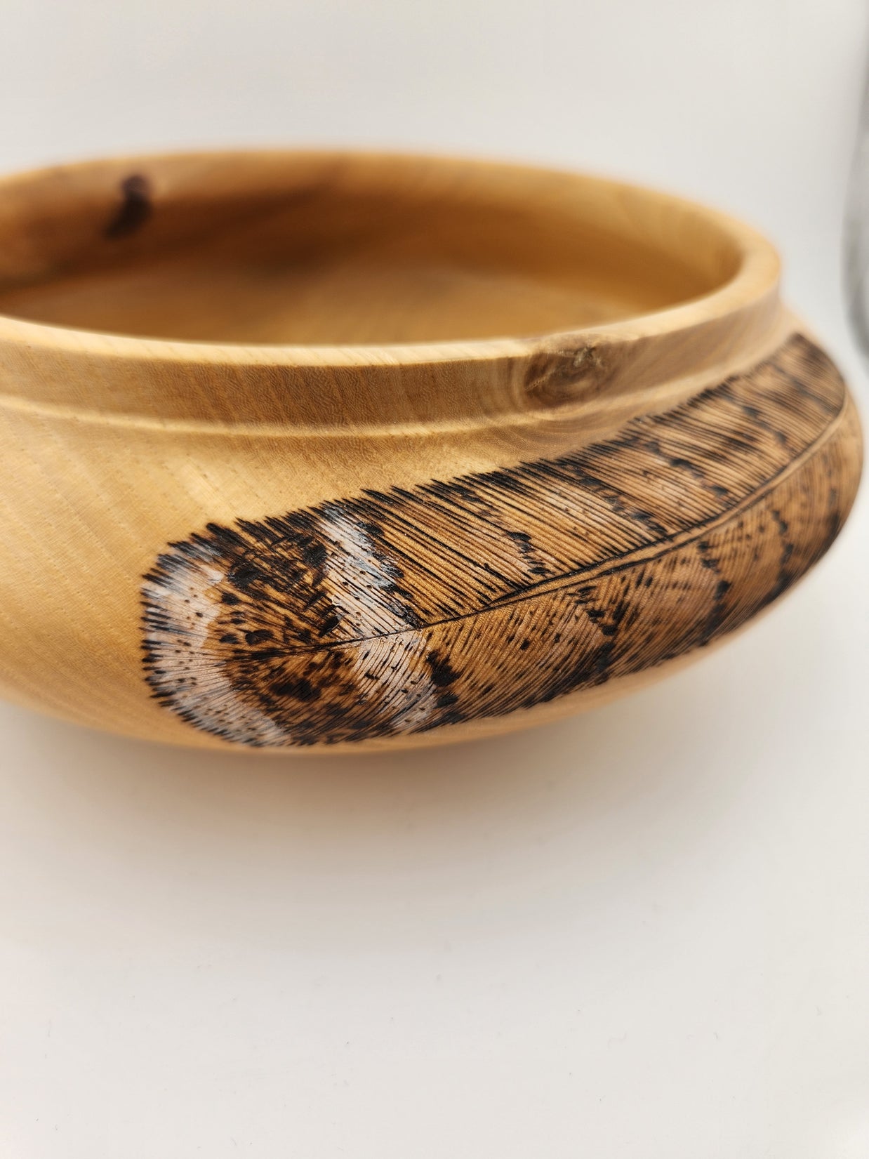 #54 Elm with Feathers