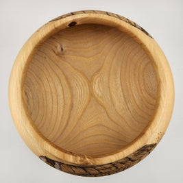 #54 Elm with Feathers