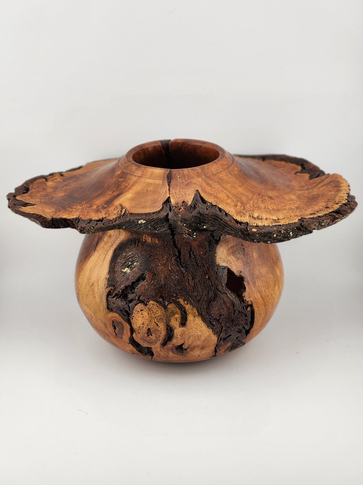 #61 Black Cherry Burl