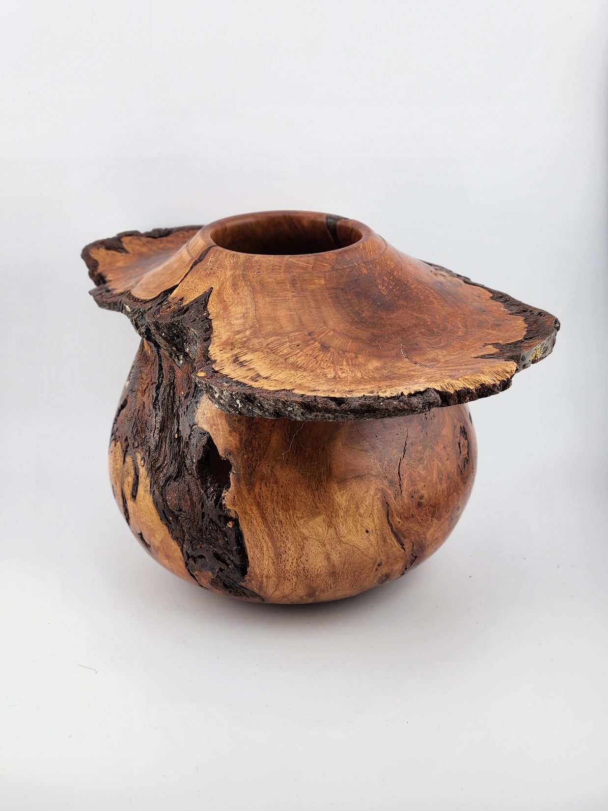 #61 Black Cherry Burl