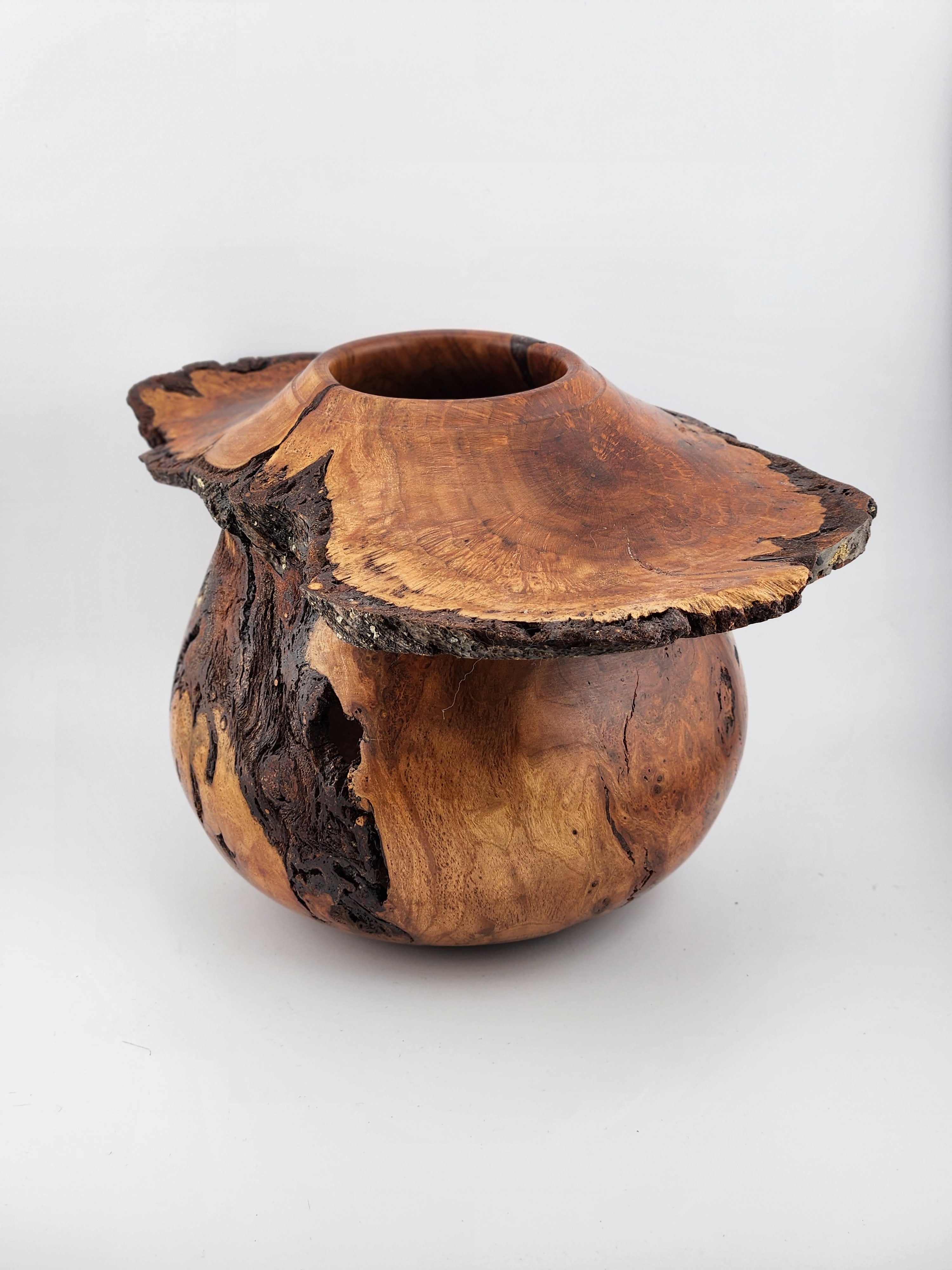 #61 Black Cherry Burl