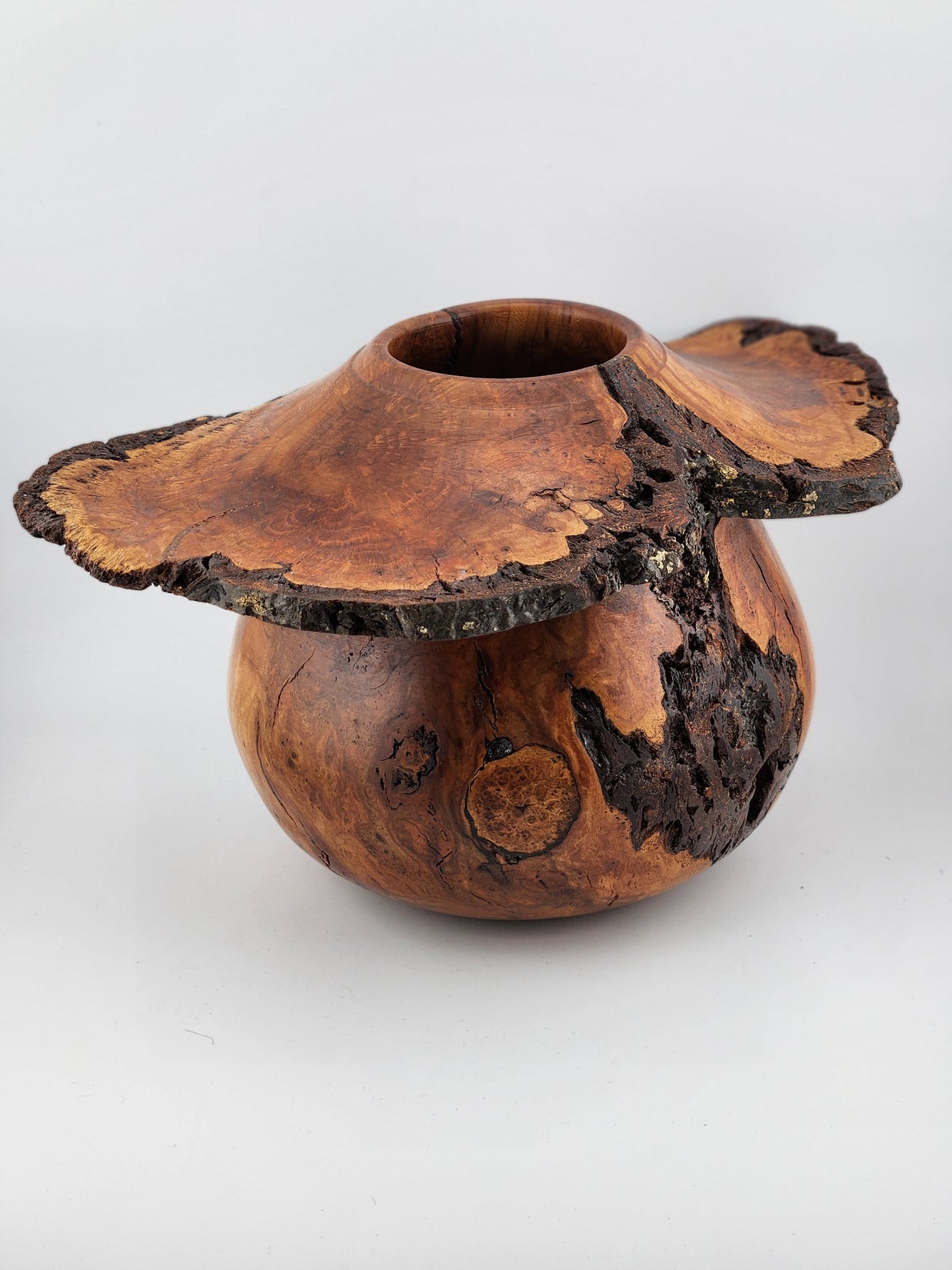 #61 Black Cherry Burl