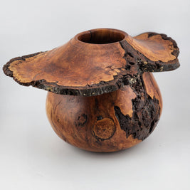 #61 Black Cherry Burl