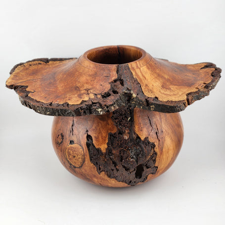 #61 Black Cherry Burl