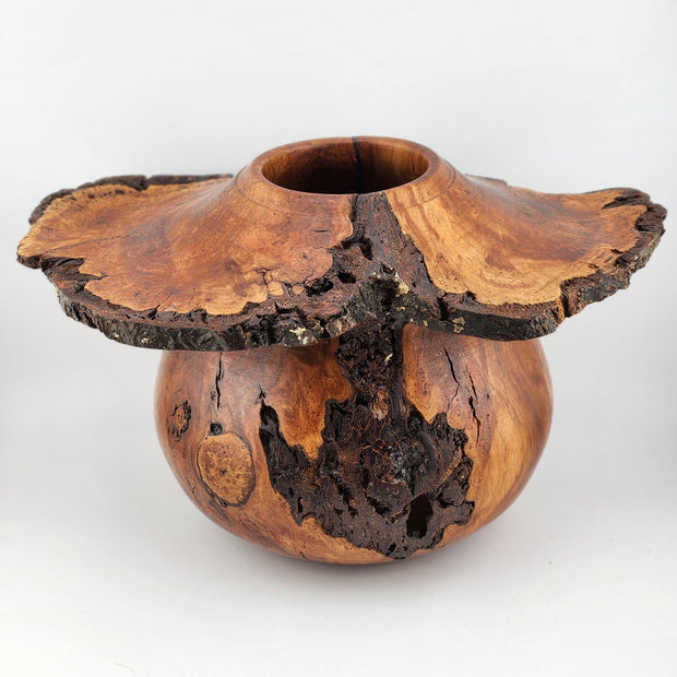 #61 Black Cherry Burl