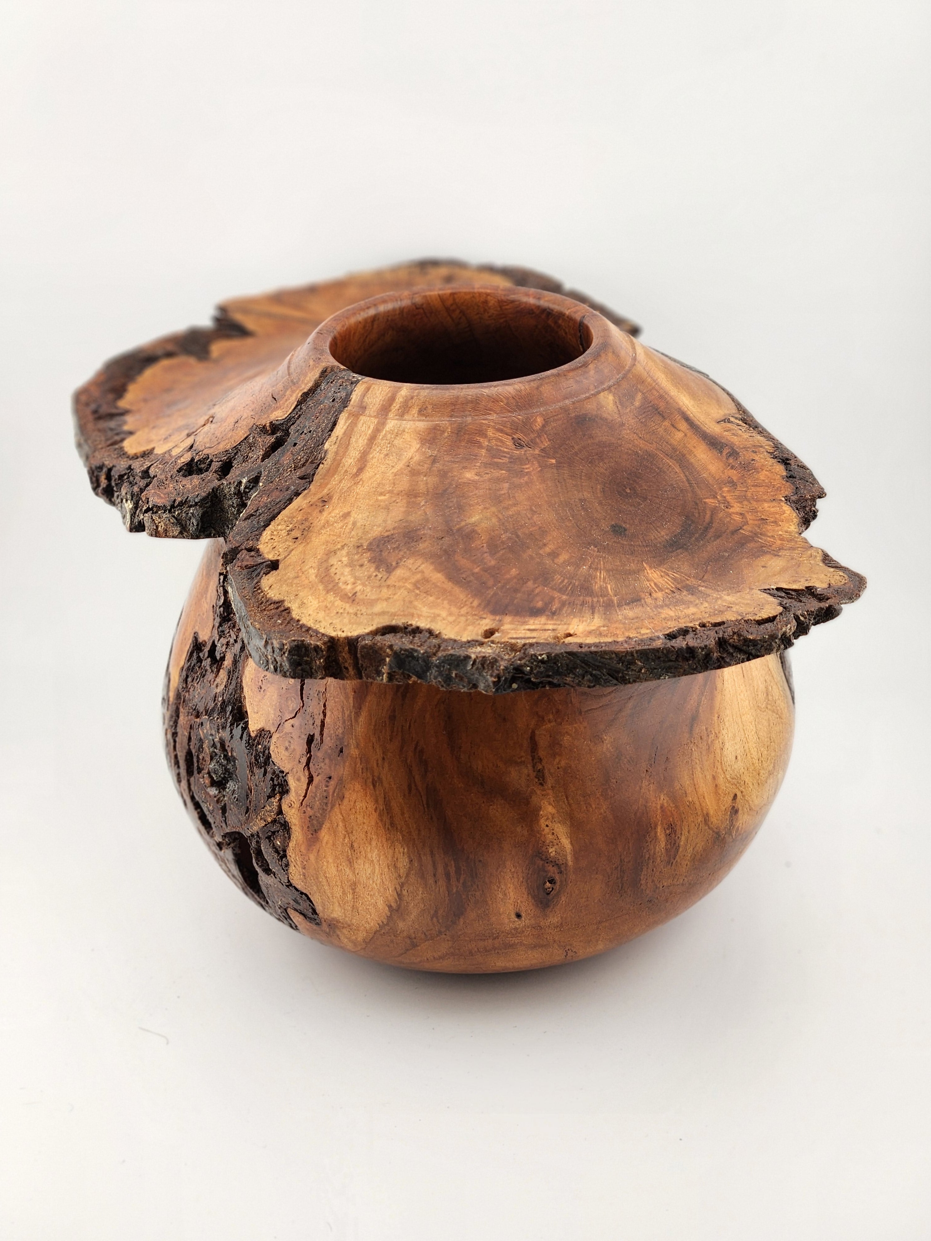 #61 Black Cherry Burl