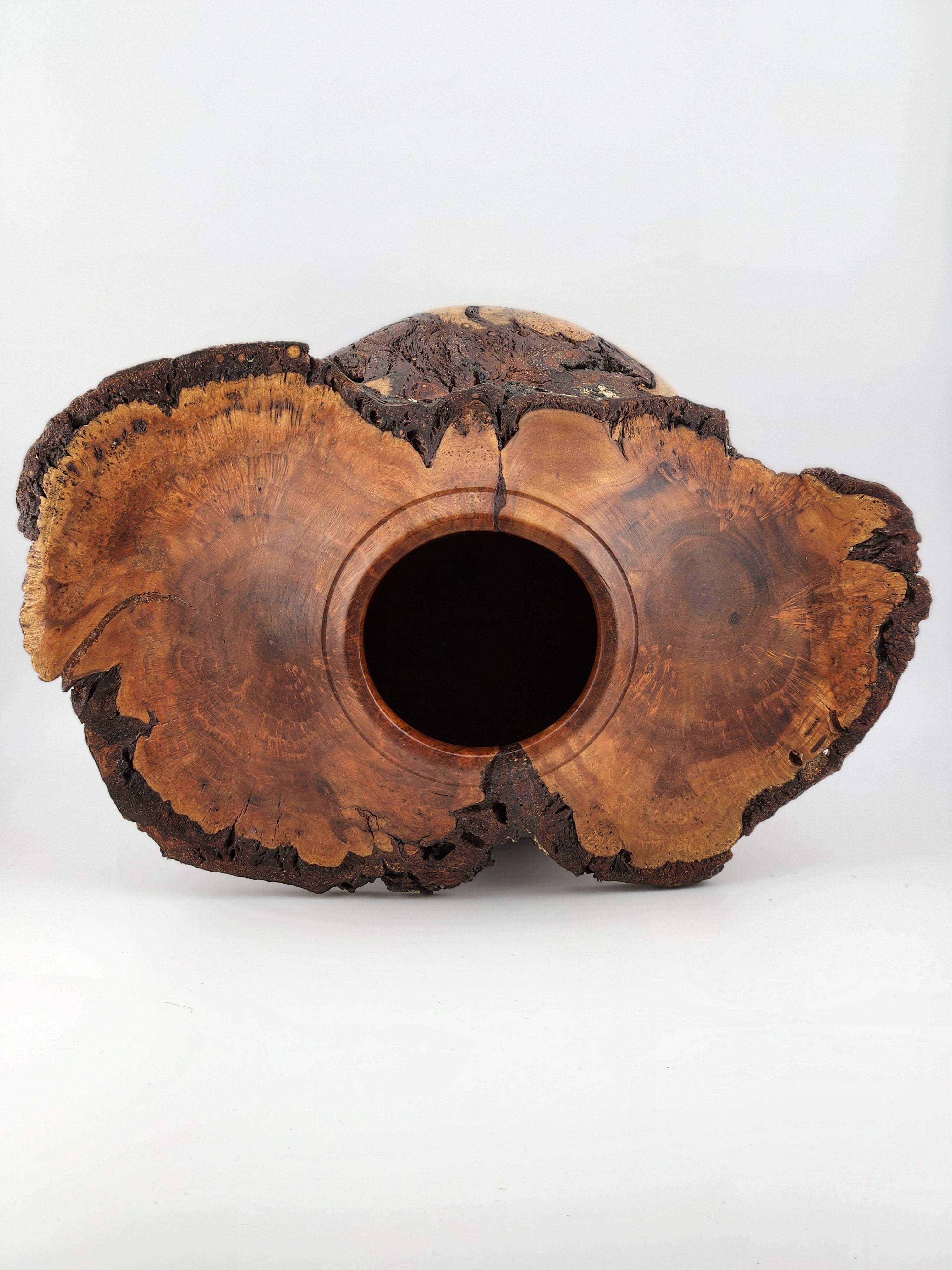 #61 Black Cherry Burl
