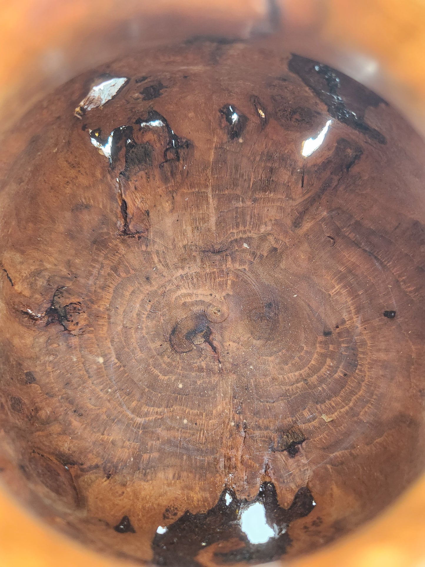 #61 Black Cherry Burl