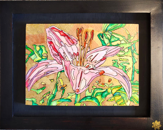 Pink Lily 2024