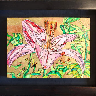Pink Lily 2024