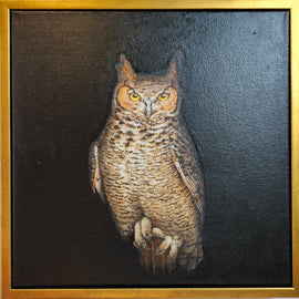 Great Horned Owl