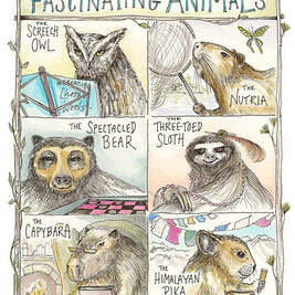 Fascinating Animals Print