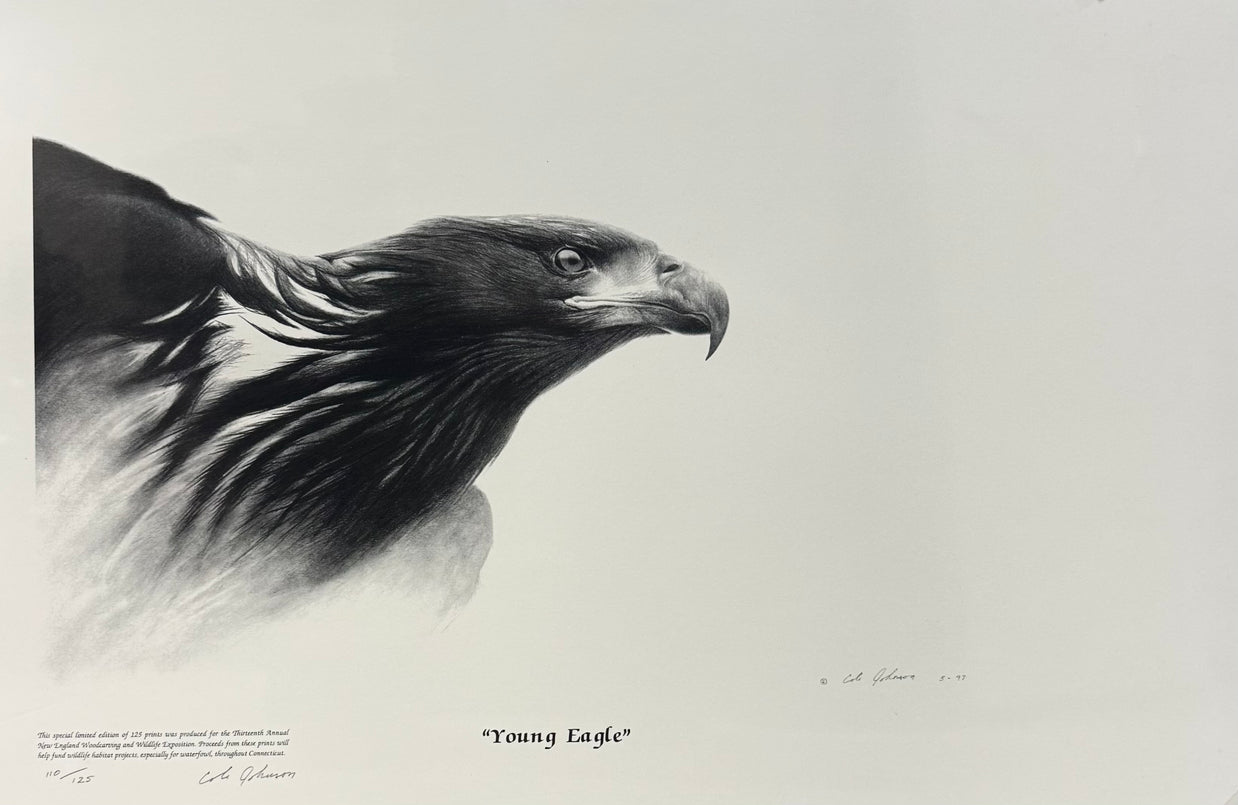 Young Eagle 110/125| Print