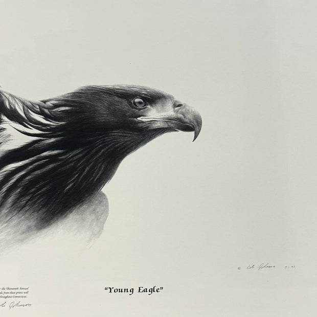 Young Eagle 110/125| Print