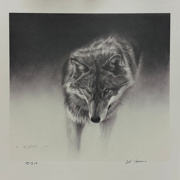 Gray Wolf 100/250