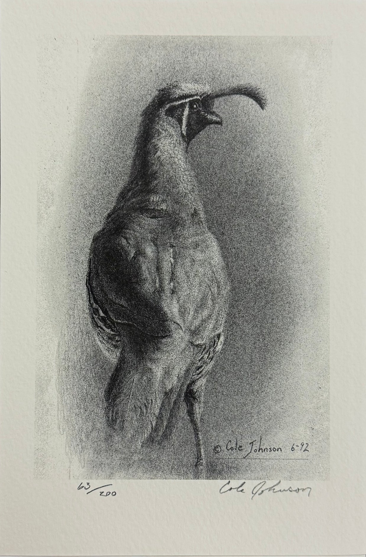 Quail | Print 63/200
