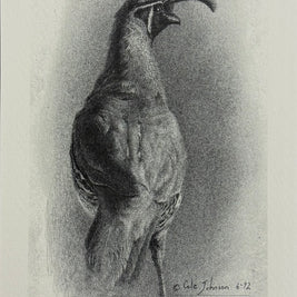Quail | Print 63/200