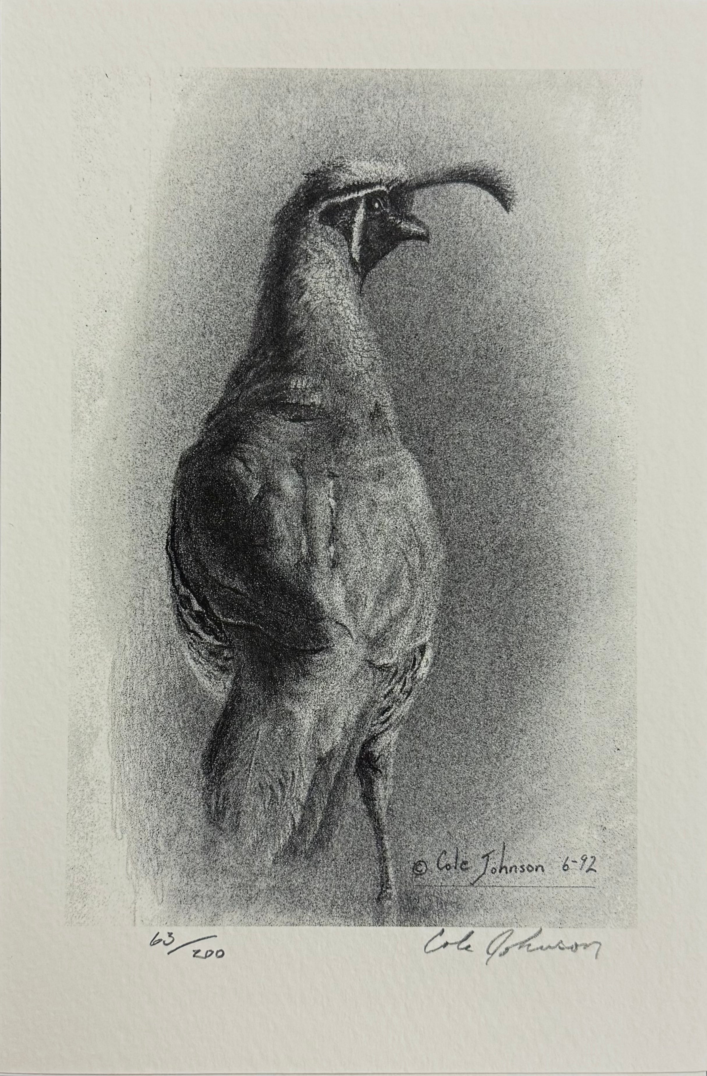 Quail | Print 63/200