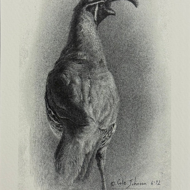 Quail | Print 63/200