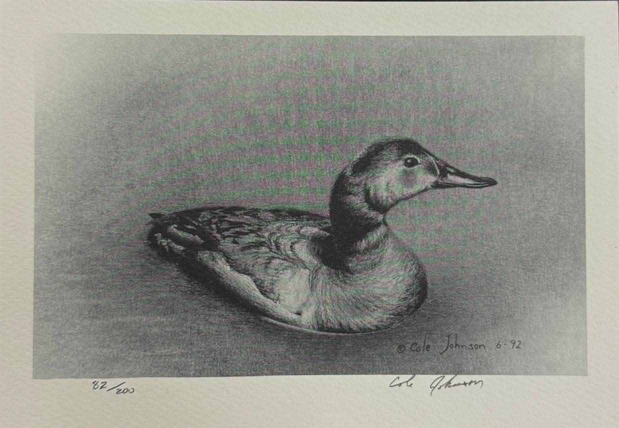 Canvasback Lithograph 82/200