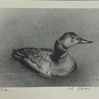 Canvasback Lithograph 82/200