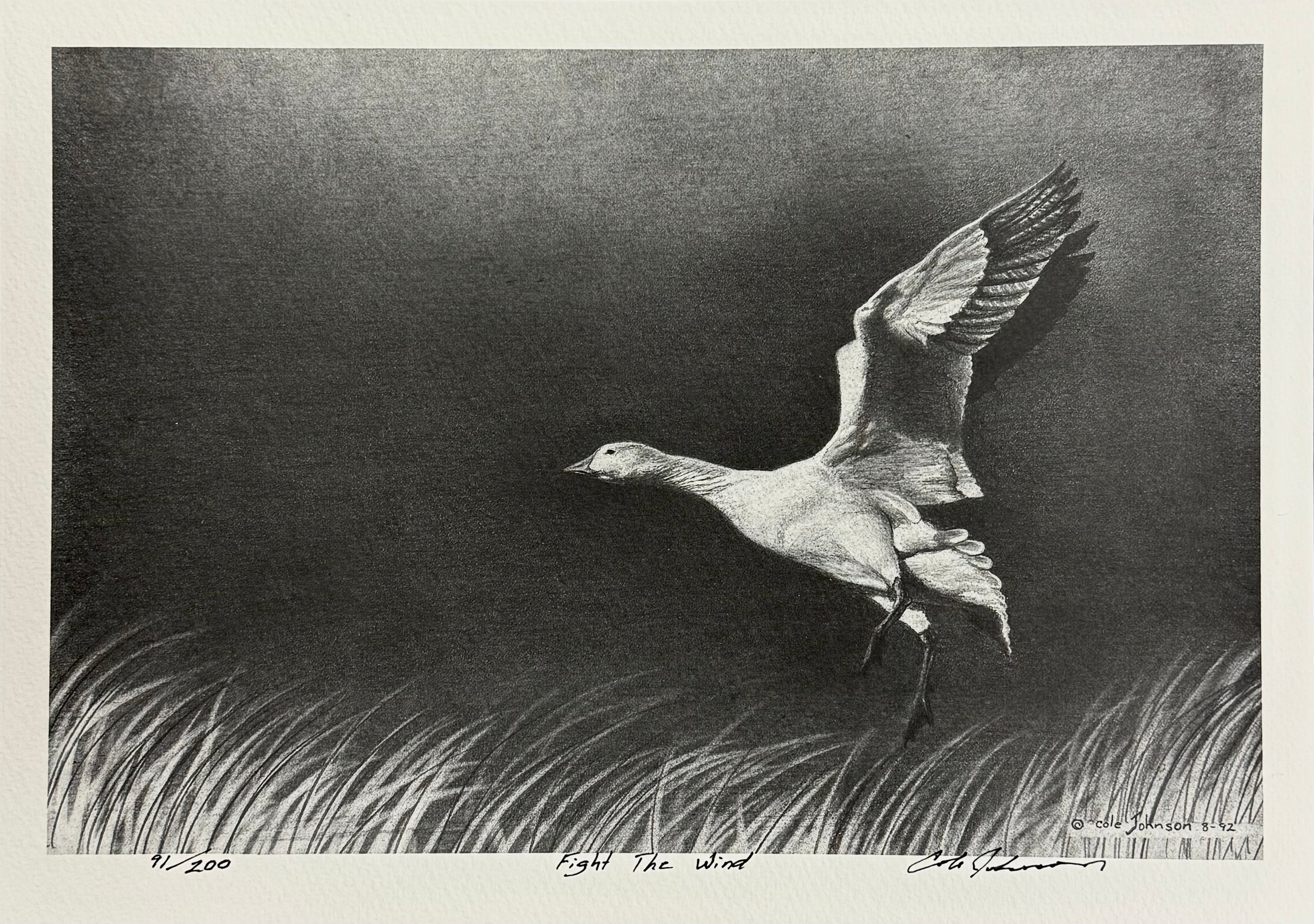 Fight the Wind | Print 91/200