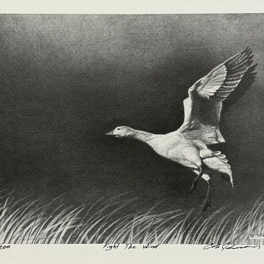 Fight the Wind | Print 91/200