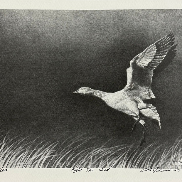 Fight the Wind | Print 91/200