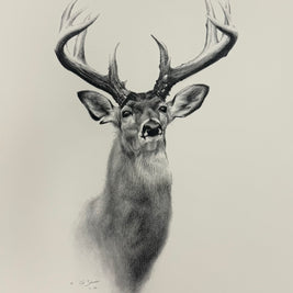 Good Genes | Print 127/250