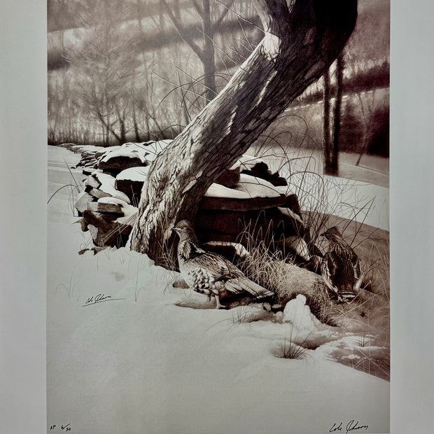 Old Stone Wall AP 6/50