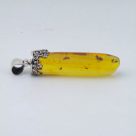 Amber w/Insects Pendant