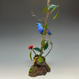 Purple Honeycreeper