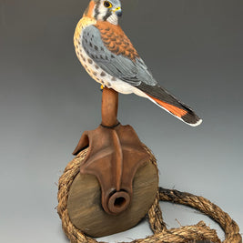 Farm Boy/ American Kestrel