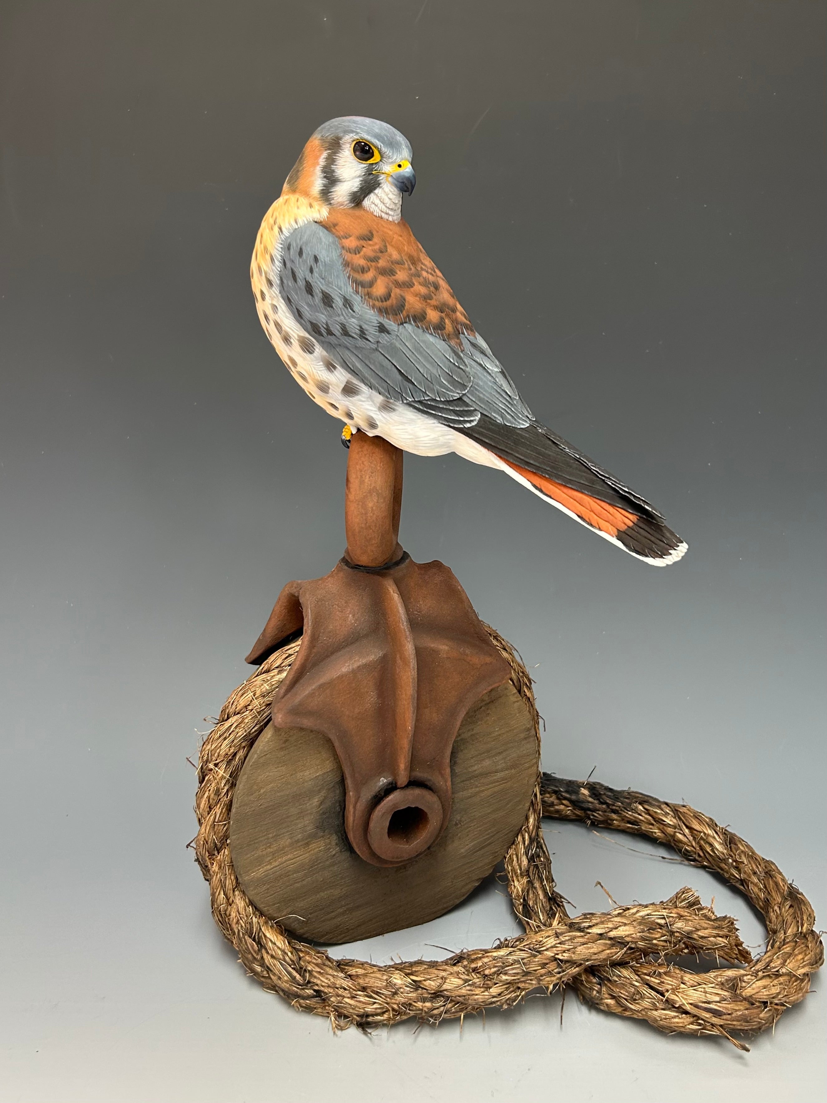 Farm Boy/ American Kestrel