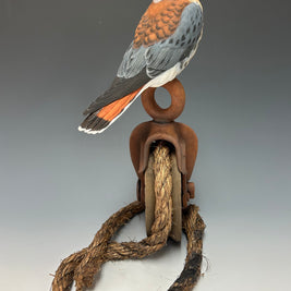 Farm Boy/ American Kestrel