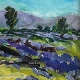 Lavender Fields