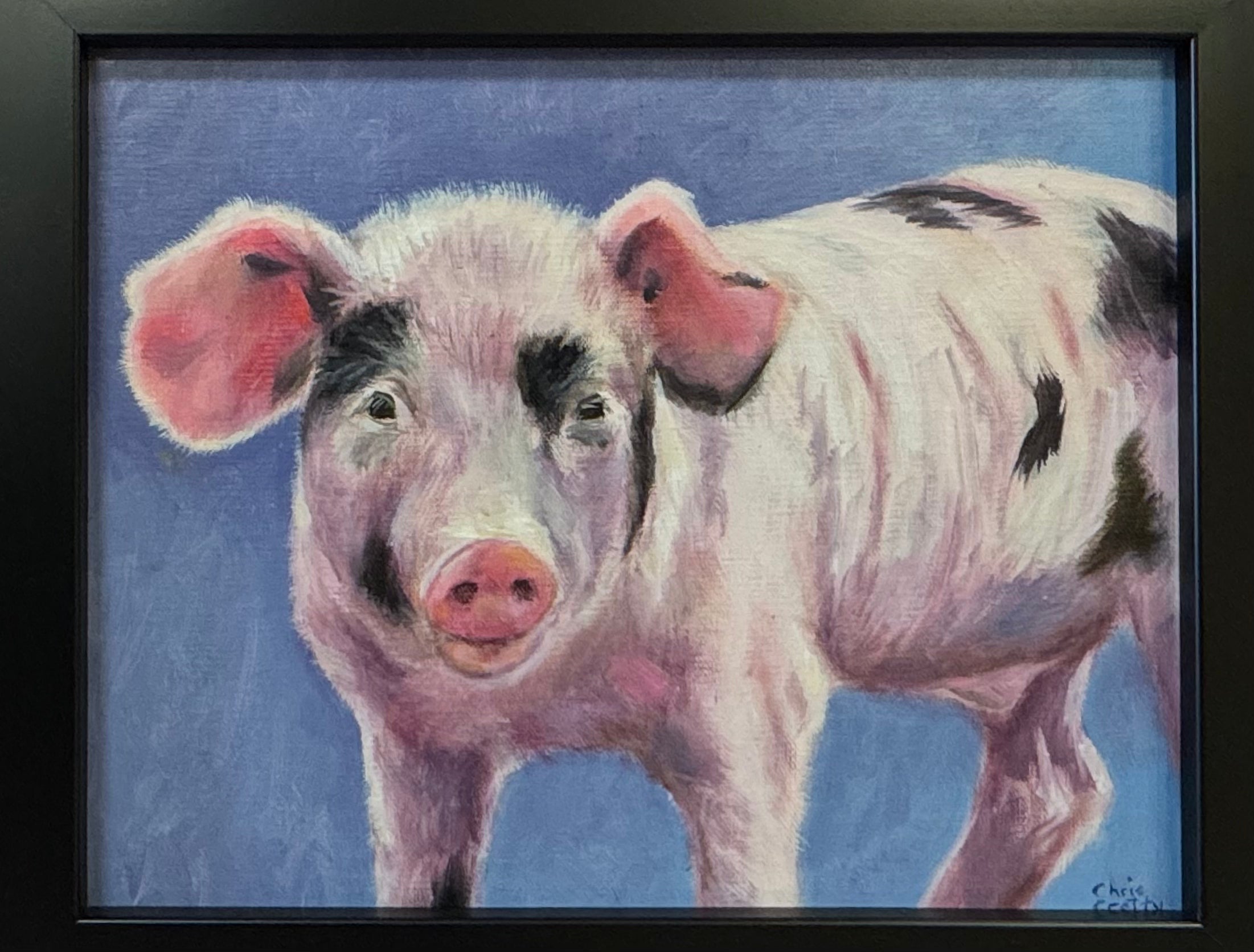 Curious Piglet - Pink Ears/Spots
